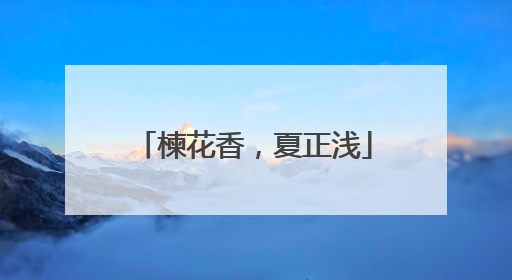 楝花香，夏正浅