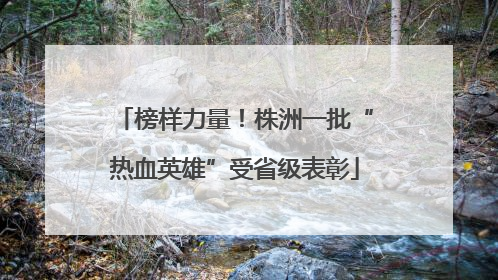 榜样力量！株洲一批“热血英雄”受省级表彰