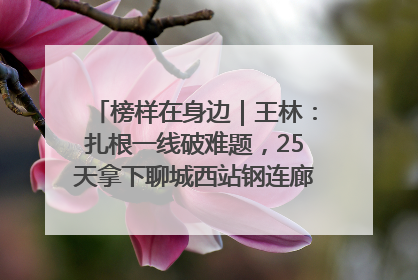 榜样在身边｜王林：扎根一线破难题，25天拿下聊城西站钢连廊“硬核”工程