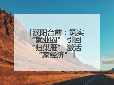 濮阳台前：筑实“就业圈” 引回“归巢雁” 激活“家经济”