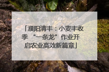 濮阳清丰：小麦丰收季 “一条龙”作业开启农业高效新篇章