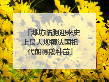 潍坊临朐迎来史上最大规模法国祖代朗德鹅种苗