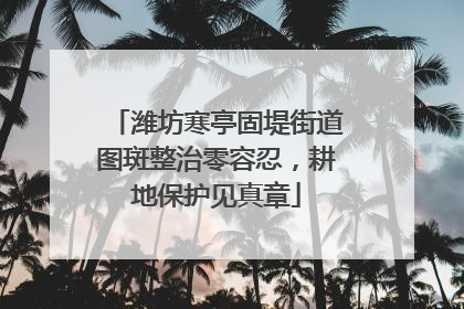 潍坊寒亭固堤街道图斑整治零容忍，耕地保护见真章