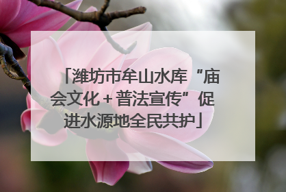 潍坊市牟山水库“庙会文化＋普法宣传”促进水源地全民共护