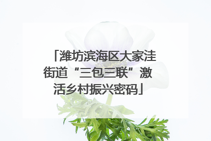 潍坊滨海区大家洼街道“三包三联”激活乡村振兴密码