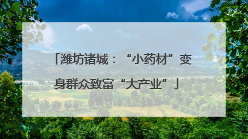 潍坊诸城：“小药材”变身群众致富“大产业”