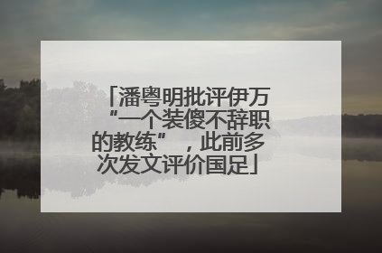 潘粤明批评伊万“一个装傻不辞职的教练”，此前多次发文评价国足