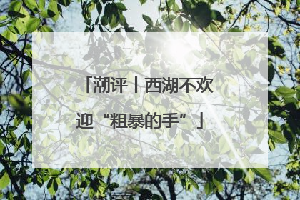 潮评丨西湖不欢迎“粗暴的手”