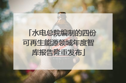 水电总院编制的四份可再生能源领域年度智库报告隆重发布