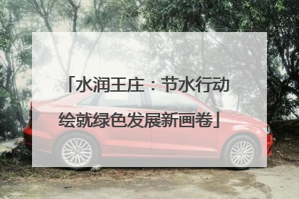 水润王庄：节水行动绘就绿色发展新画卷