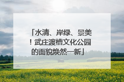 水清、岸绿、景美！武庄渡槽文化公园的面貌焕然一新