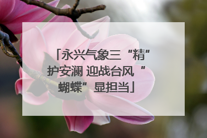 永兴气象三“精”护安澜 迎战台风“蝴蝶”显担当