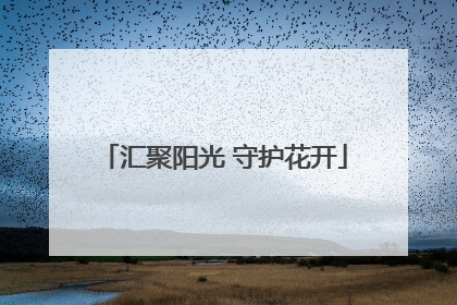 汇聚阳光 守护花开