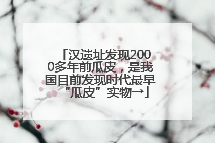 汉遗址发现2000多年前瓜皮，是我国目前发现时代最早“瓜皮”实物→