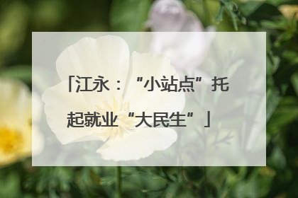 江永：“小站点”托起就业“大民生”