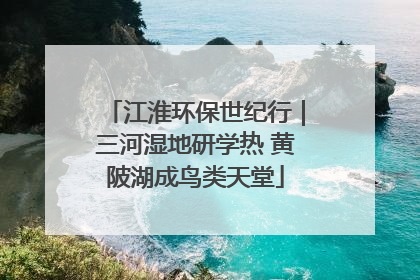 江淮环保世纪行｜三河湿地研学热 黄陂湖成鸟类天堂
