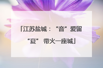 江苏盐城：“音”爱留“夏” 带火一座城