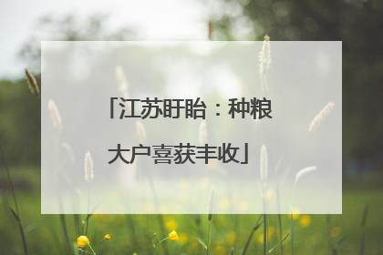 江苏盱眙：种粮大户喜获丰收