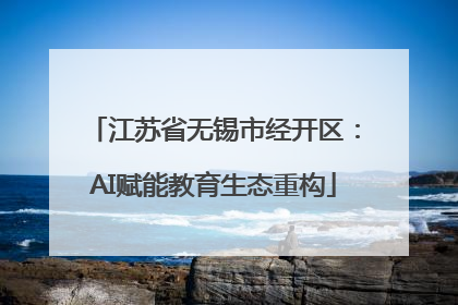 江苏省无锡市经开区：AI赋能教育生态重构