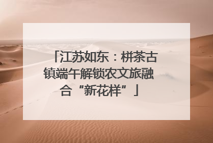 江苏如东：栟茶古镇端午解锁农文旅融合“新花样”