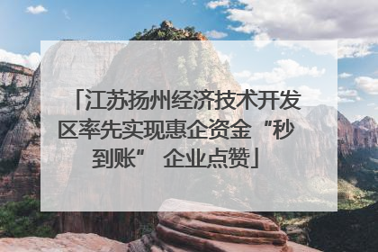 江苏扬州经济技术开发区率先实现惠企资金“秒到账” 企业点赞