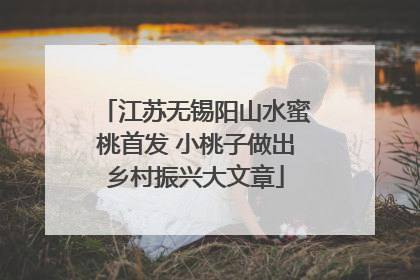江苏无锡阳山水蜜桃首发 小桃子做出乡村振兴大文章