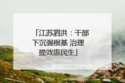 江苏泗洪：干部下沉强根基 治理提效惠民生