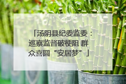 汤阴县纪委监委：巡察监督破梗阻 群众喜圆“安居梦”
