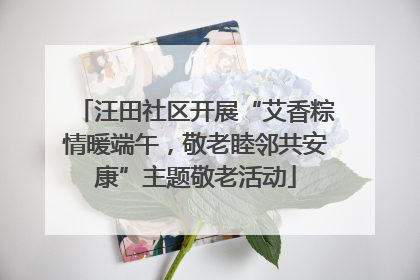 汪田社区开展“艾香粽情暖端午，敬老睦邻共安康”主题敬老活动