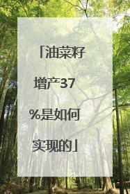 油菜籽增产37%是如何实现的