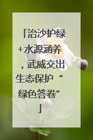 治沙护绿+水源涵养，武威交出生态保护“绿色答卷”