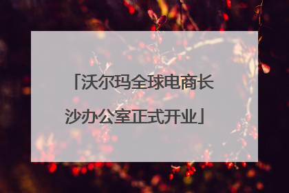 沃尔玛全球电商长沙办公室正式开业