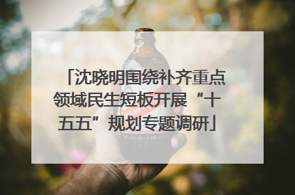 沈晓明围绕补齐重点领域民生短板开展“十五五”规划专题调研