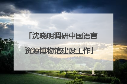 沈晓明调研中国语言资源博物馆建设工作