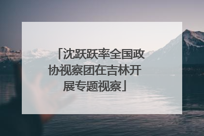 沈跃跃率全国政协视察团在吉林开展专题视察