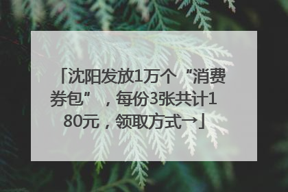 沈阳发放1万个“消费券包”，每份3张共计180元，领取方式→