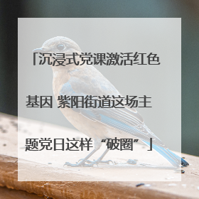 沉浸式党课激活红色基因 紫阳街道这场主题党日这样“破圈”