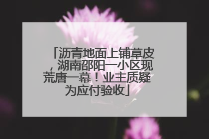 沥青地面上铺草皮，湖南邵阳一小区现荒唐一幕！业主质疑为应付验收