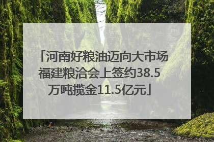 河南好粮油迈向大市场 福建粮洽会上签约38.5万吨揽金11.5亿元