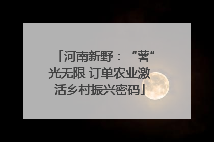 河南新野：“薯”光无限 订单农业激活乡村振兴密码