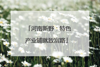 河南新野：特色产业铺就致富路