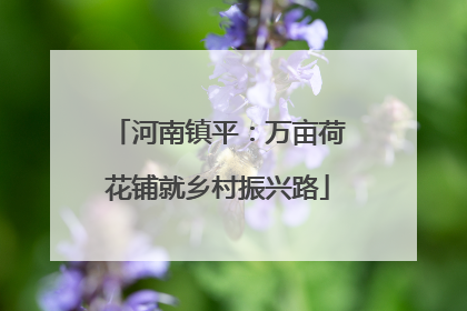 河南镇平：万亩荷花铺就乡村振兴路