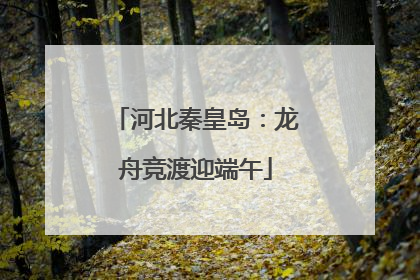 河北秦皇岛：龙舟竞渡迎端午