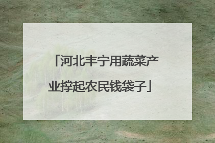 河北丰宁用蔬菜产业撑起农民钱袋子
