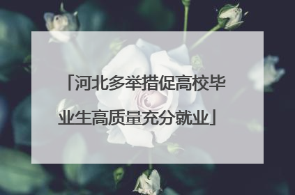 河北多举措促高校毕业生高质量充分就业