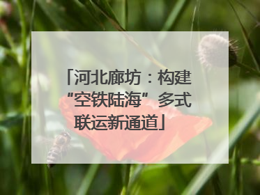河北廊坊：构建“空铁陆海”多式联运新通道