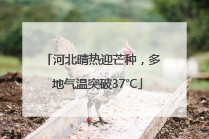 河北晴热迎芒种，多地气温突破37℃