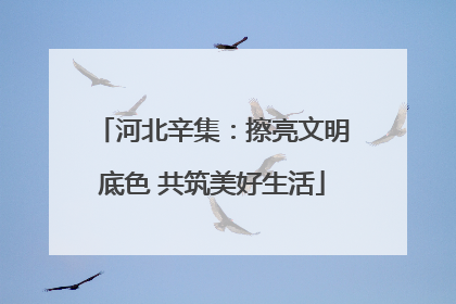 河北辛集：擦亮文明底色 共筑美好生活