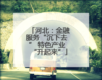 河北：金融服务“沉下去” 特色产业“升起来”