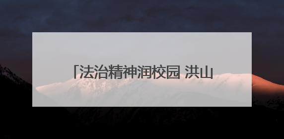法治精神润校园 洪山十二小师生共学民法典